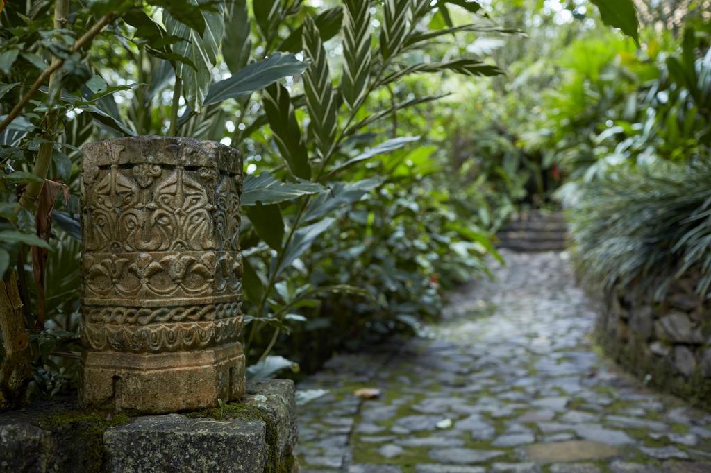 ديغانا Bamboo Villa Kandy المظهر الخارجي الصورة